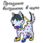 Пёс лайкос и команда