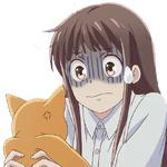 Fruits basket