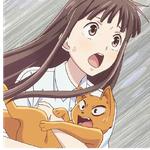 Fruits basket