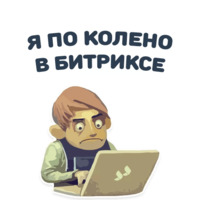 Будущий разработчик