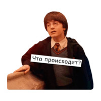 Поттеровский Позор