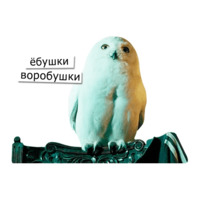 Поттеровский Позор