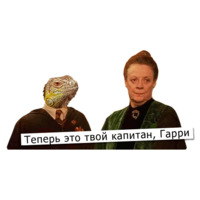 Поттеровский Позор