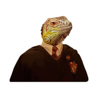 Поттеровский Позор