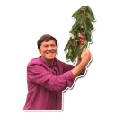 GianniMorandi