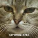 Нахуй я родился