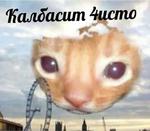 Нахуй я родился