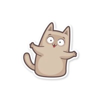 Серый котик