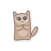 Серый котик