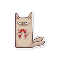 Серый котик