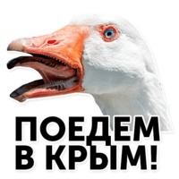 Гуси-хуюси