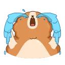 Hamster Bernard