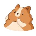 Hamster Bernard