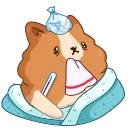Hamster Bernard