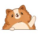 Hamster Bernard