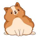 Hamster Bernard