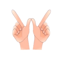 Hands