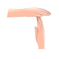 Hands