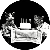 Коты Гарри Уиттера Фриса
