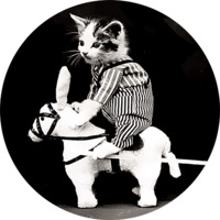 Коты Гарри Уиттера Фриса