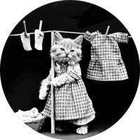 Коты Гарри Уиттера Фриса