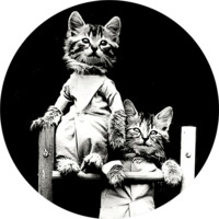 Коты Гарри Уиттера Фриса