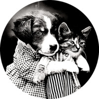 Коты Гарри Уиттера Фриса