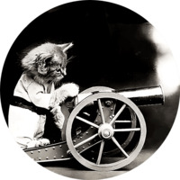 Коты Гарри Уиттера Фриса