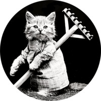 Коты Гарри Уиттера Фриса