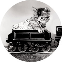 Коты Гарри Уиттера Фриса