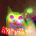 Polite Cat