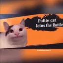 Polite Cat