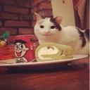 Polite Cat