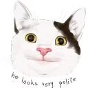 Polite Cat