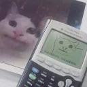 Polite Cat