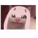 Polite Cat