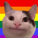 Polite Cat