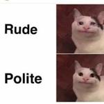 Polite Cat
