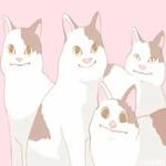 Polite Cat