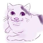 Polite Cat
