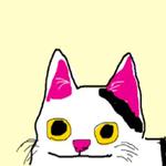 Polite Cat