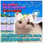 Polite Cat