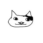 Polite Cat