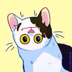 Polite Cat