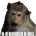Горячий хлеб