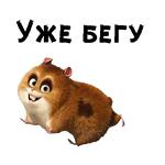 Хомяк Рино :: @animesticks
