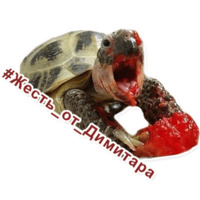 Хотсголики