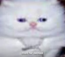 123qwerty123 shit pack