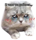 123qwerty123 shit pack