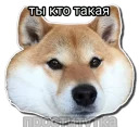 123qwerty123 shit pack